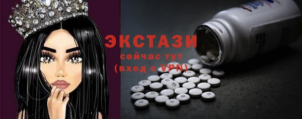 мдпв Долгопрудный