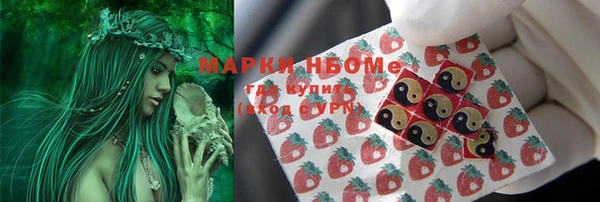 PSILOCYBIN Медвежьегорск