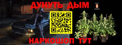твердый Гай
