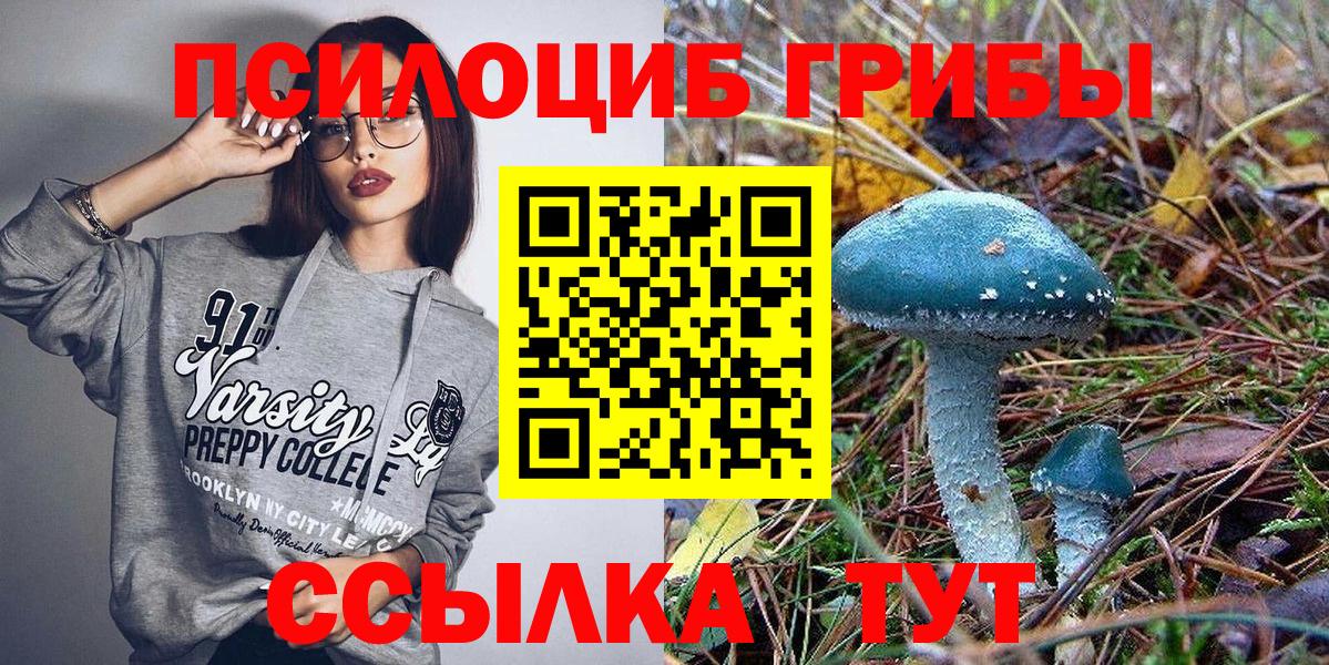 Галлюциногенные грибы прущие грибы  как найти закладки  Амурск 