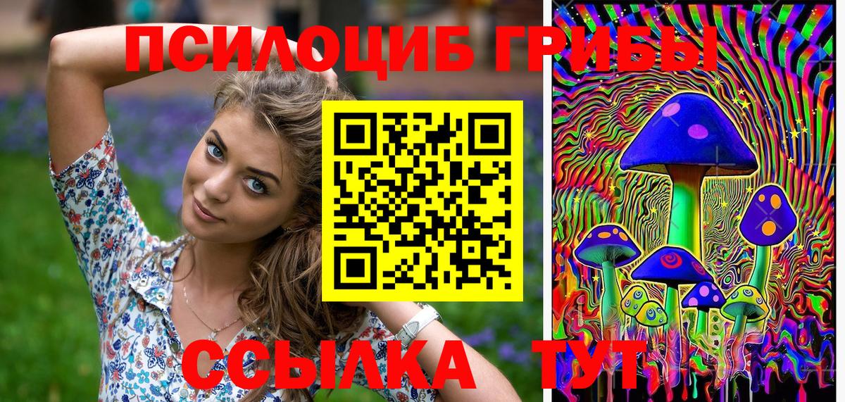 Псилоцибиновые грибы GOLDEN TEACHER Амурск