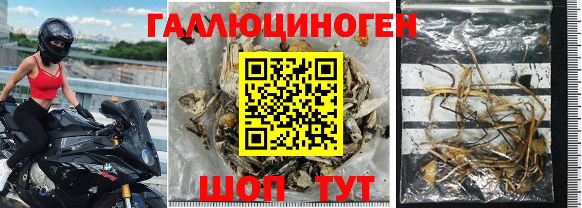 закладка  Галлюциногенные грибы прущие грибы  Вход с VPN  Амурск  Псилоцибиновые грибы ЛСД 