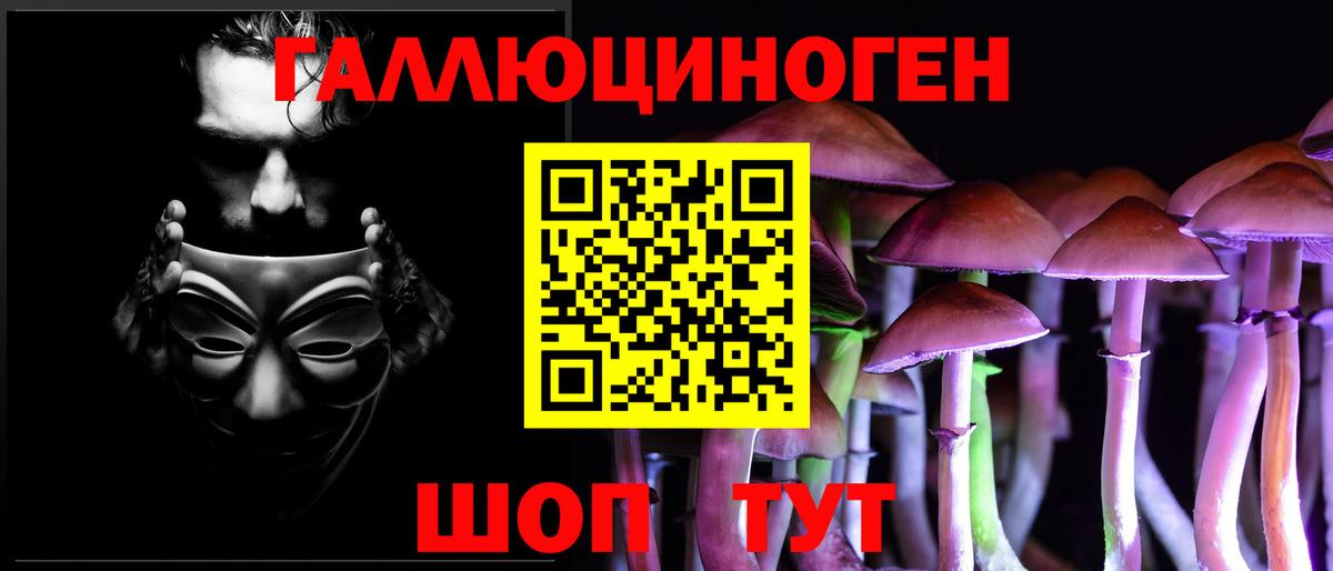 Псилоцибиновые грибы GOLDEN TEACHER Амурск